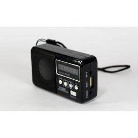 Колонка радио Mp3 WS-239