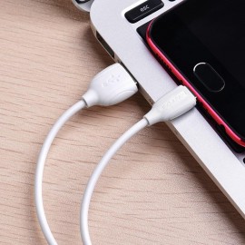 Кабель Micro USB Borofone X19 1m
