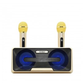 Колонка Bluetooth SDRD MP3 караоке 2 микрофона SD-301 черная
