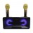Колонка Bluetooth SDRD MP3 караоке 2 микрофона SD-301 черная