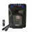 Колонка Bluetooth MP3 караоке 2 микрофона EL-106 / MR-106