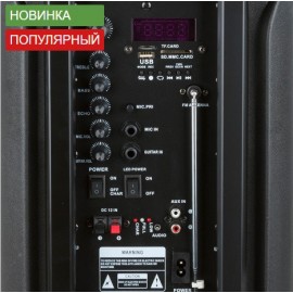 Колонка Bluetooth MP3 караоке 2 микрофона EL8-22