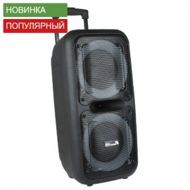 Колонка Bluetooth MP3 караоке 2 микрофона EL8-22