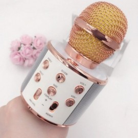 Колонка микрофон Bluetooth Mp3 караоке Wster orig WS-858