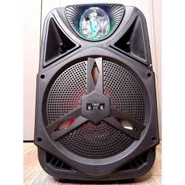 Колонка Bluetooth MP3 FM караоке с микрофоном DG-1002
