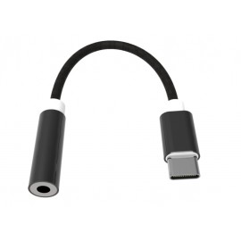Переходник Type-C - 3.5 гнездо aux RITMIX RCC-032