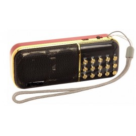 Колонка радио Mp3 MRM-Power B851