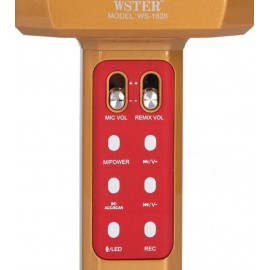 Колонка микрофон Bluetooth Mp3 караоке WS-1828 золото