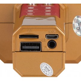 Колонка микрофон Bluetooth Mp3 караоке WS-1828 золото