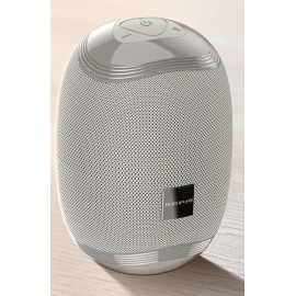 Колонка Bluetooth MP3 FM Borofone BR6 серая