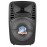 Колонка Bluetooth MP3 FM караоке с микрофоном PK-07 8