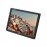 Телевизор Eplutus EP-121T 12.1 LCD USB T2 с батареей