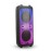 Колонка Bluetooth MP3 караоке 2 микрофона Eltronic FIRE BOX 1000 20-62