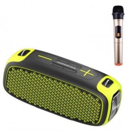 Колонка Bluetooth Mp3 Hopestar A30 Pro Grey